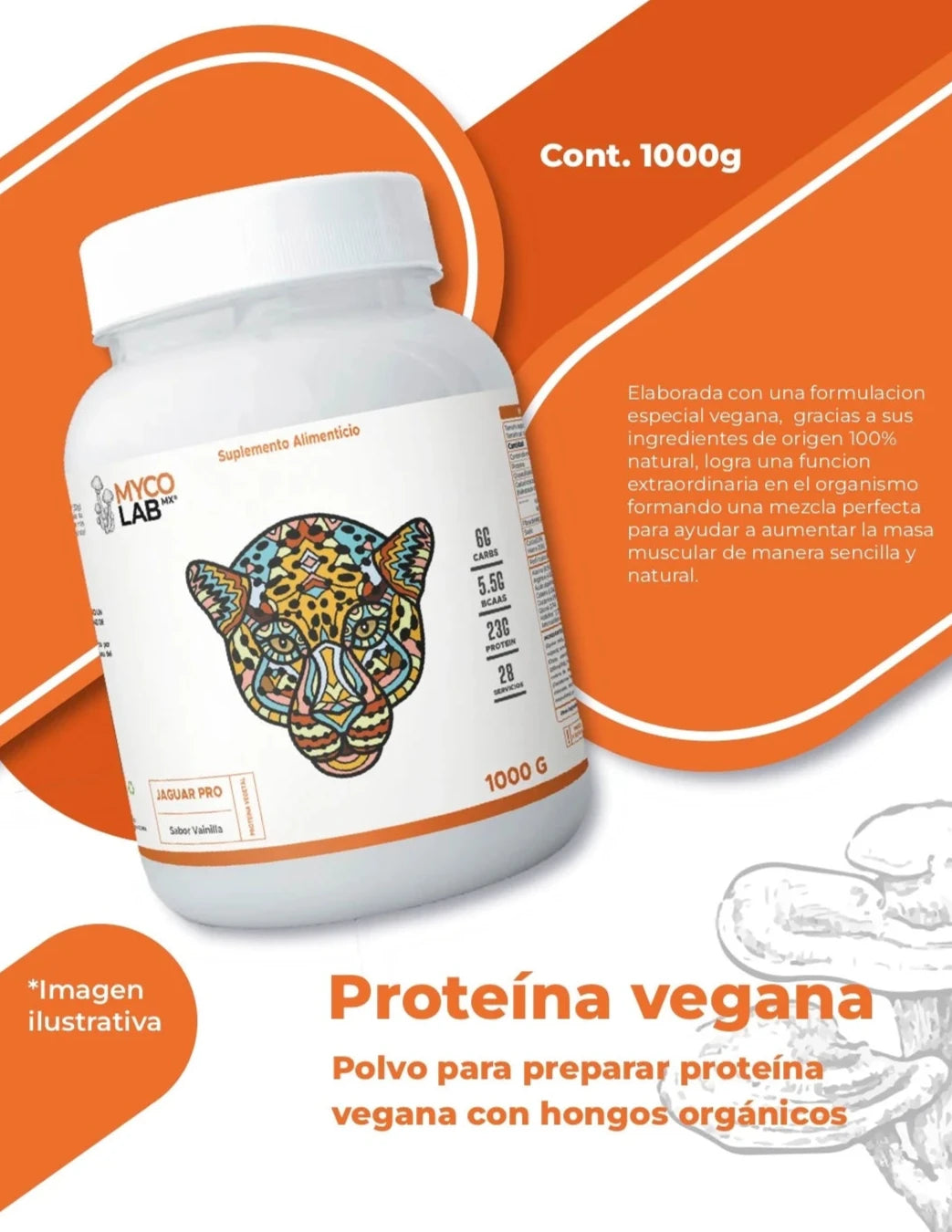 Proteína Vegana con extractos de Hongos Sabor Vainilla