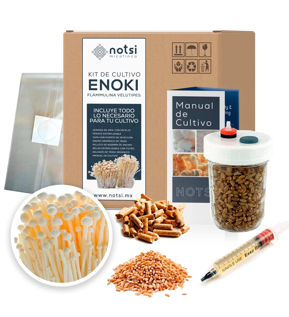 KIT DE CULTIVO ENOKI (FLAMMULINA VELUTIPES)
