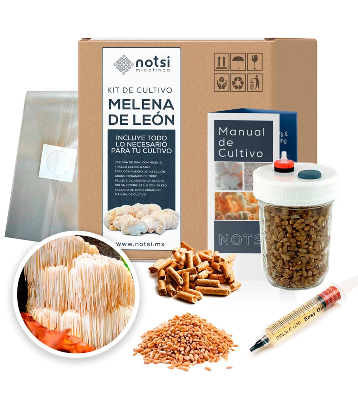 KIT DE CULTIVO MELENA DE LEÓN (HERICIUM ERINACEUS)