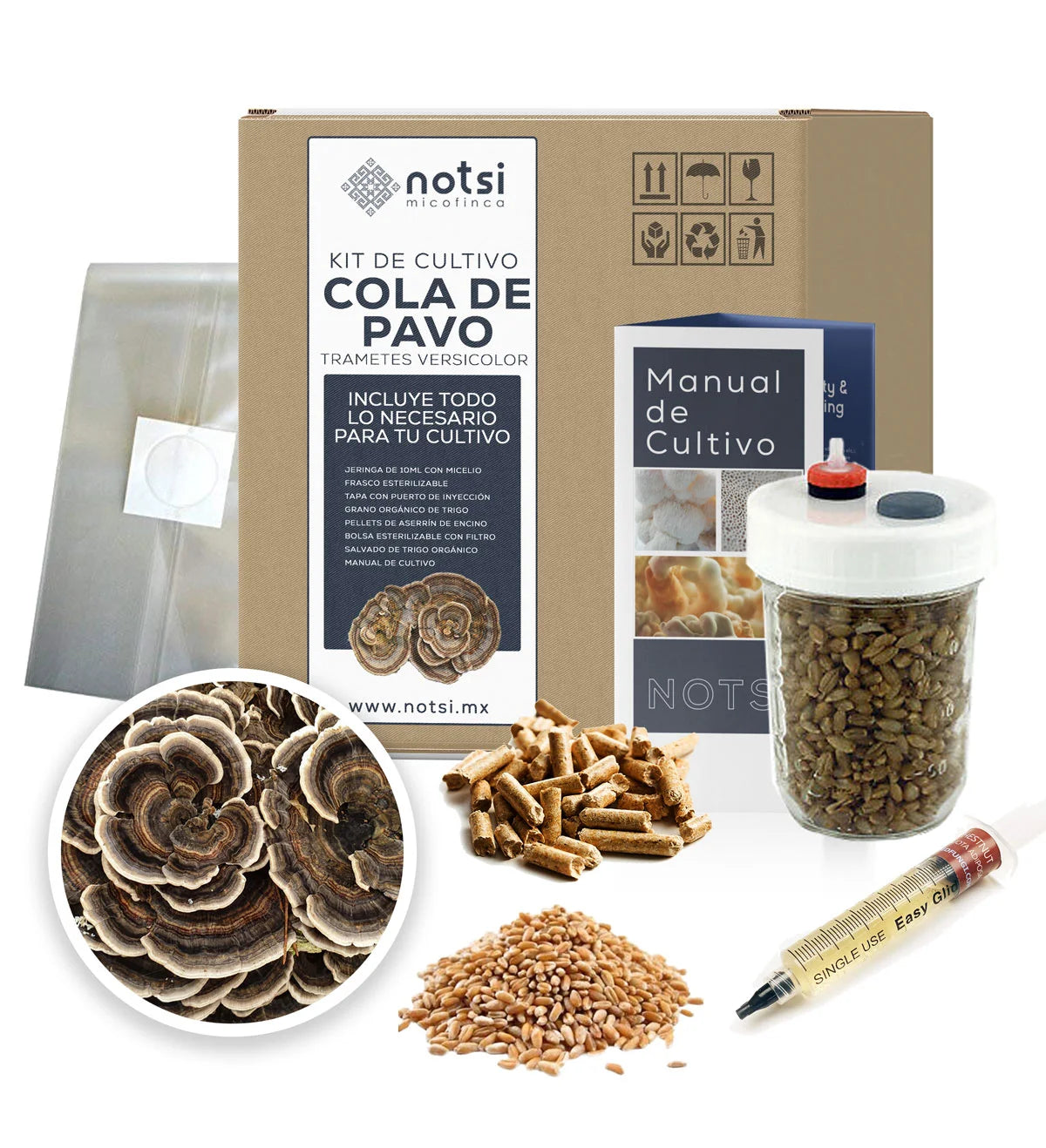 KIT DE CULTIVO COLA DE PAVO (TRAMETES VERSICOLOR)